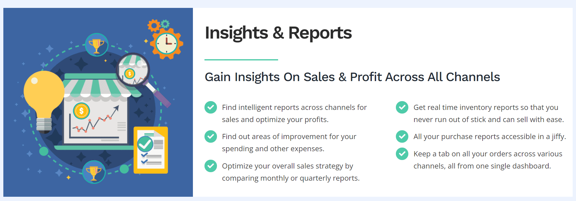 insights n reports