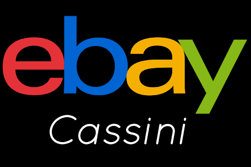 eBay Listing format