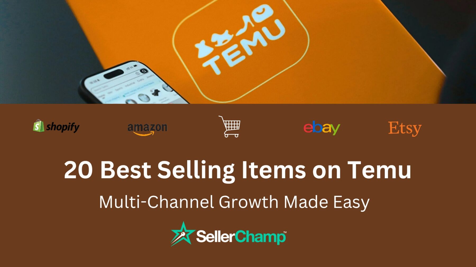 20 Best Selling Items on Temu [Updated]